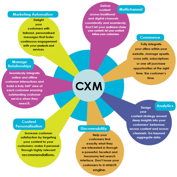 What S The Ideal Marketing Team Structure