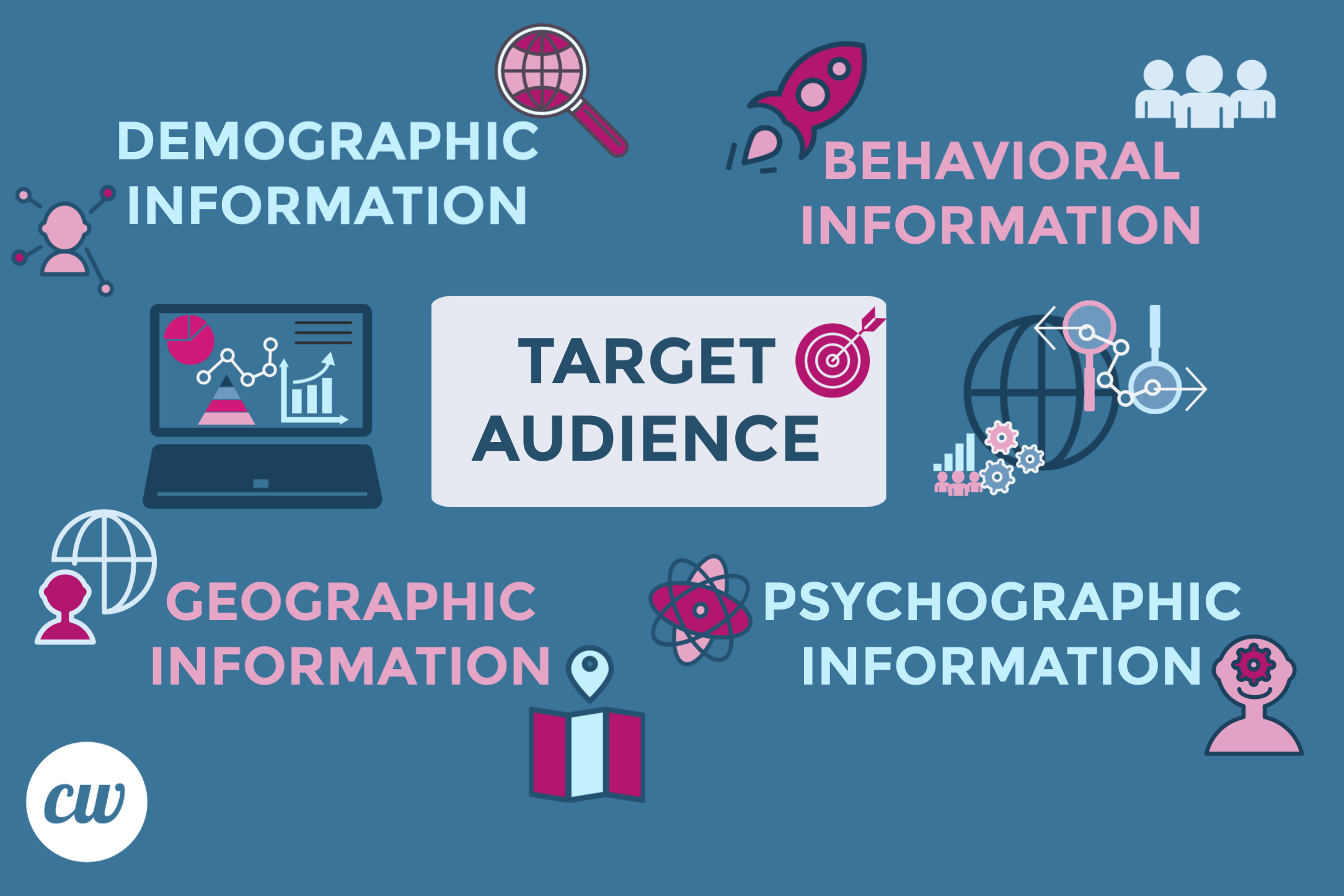 Target audience - demographic information, behavioral information, geographic information, psychographic information