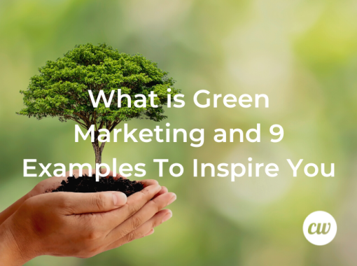 What is Green Marketing and 9 Examples To Inspire You