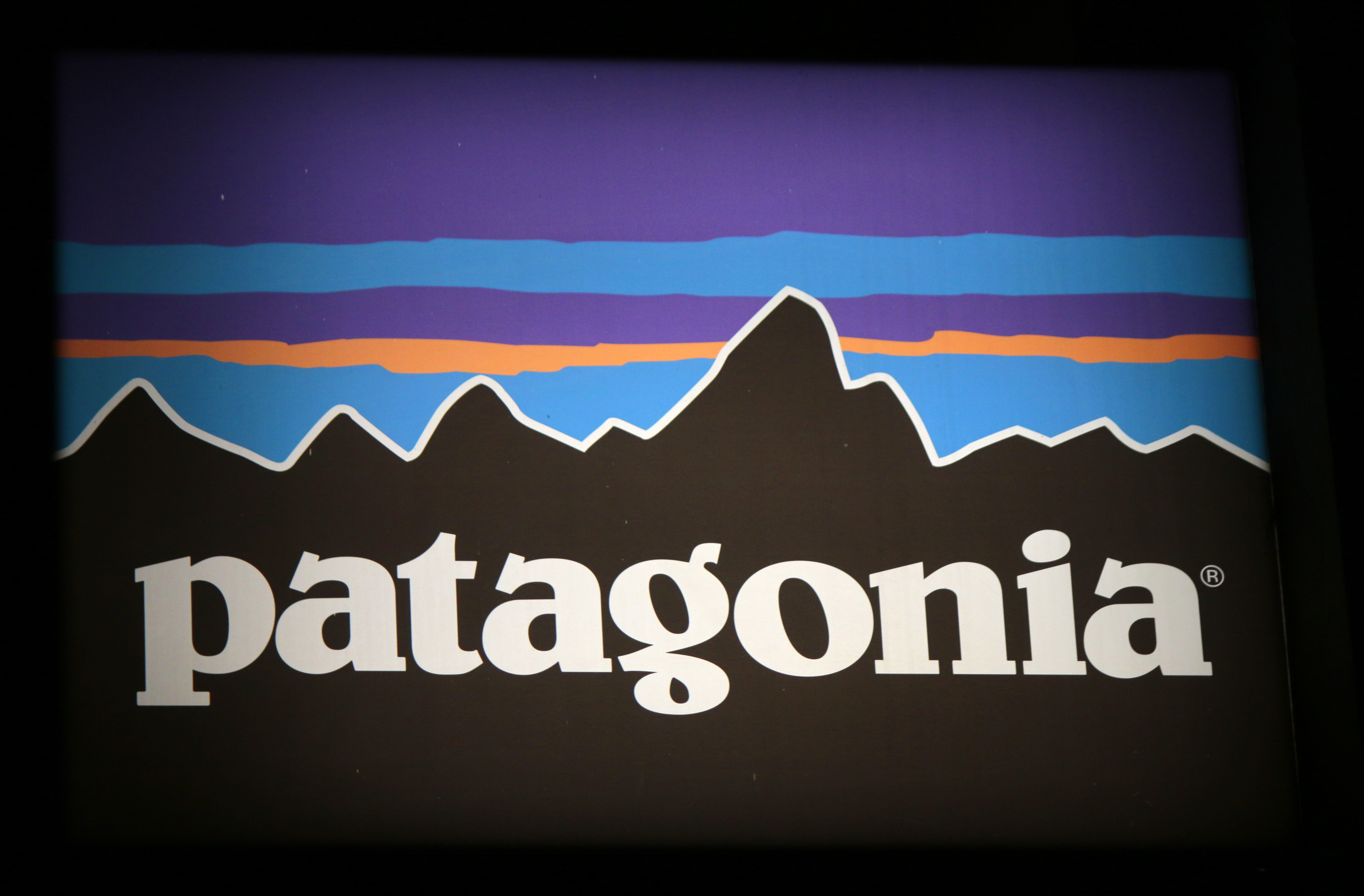 marketing patagonia sustainability